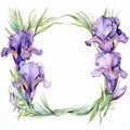 Graceful Watercolor Iris Frame On White Background