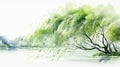 Graceful Watercolor Willow Tree Branches and Delicate Leaves AI Generated