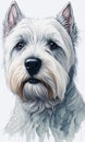 Graceful Whispers: A Captivating Watercolor Side Portrait of a Young West Highland White Terrier