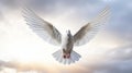Graceful White Dove In Flight: Layered Imagery With Subtle Irony