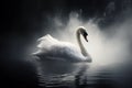 Graceful white swan - fantasy white feathered swan in a tranquil water setting Royalty Free Stock Photo