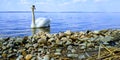 Graceful white Swan swimming in the lake. Beautiful swan. Single white Swan on the pond. Water on background Royalty Free Stock Photo