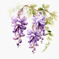 Graceful Wisteria Watercolor Flowers: Accurate And Detailed Chinese Brushwork