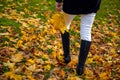 Graceful woman feet in elegant boots walking on fall leaves in an autumn forest Royalty Free Stock Photo