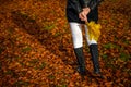 Graceful woman feet in elegant boots walking on fall leaves in an autumn forest Royalty Free Stock Photo