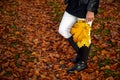 Graceful woman feet in elegant boots walking on fall leaves in an autumn forest Royalty Free Stock Photo