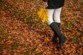 Graceful woman feet in elegant boots walking on fall leaves in an autumn forest Royalty Free Stock Photo