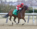 Gracetown with Jose Lezcano winning at Aqueduct Royalty Free Stock Photo