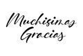 Gracias calligraphy spain text. Hand lettering spanish word thank you. Lettering postcard design in script style. Vector