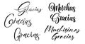 Gracias calligraphy spain text. Hand lettering spanish word thank you. Lettering postcard design in script style. Vector