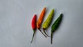 The gradation fresh chili colour Royalty Free Stock Photo