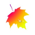 Gradient autumn leaf. Silhouette maple isolated. Vector
