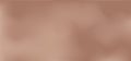Gradient background mocha mousse color, cream and coffee texture, pastel gradation pattern, blur elegant bg. Trendy colors 2025