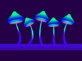 Gradient bioluminescent mushrooms are green-blue. Fluorescent glowing mushrooms. Hallucinogenic mushroom on a long stalk.