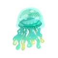 Gradient bright medusa isolated on white background. Marine transparent jellyfish with blurry shape. Flat vector cartoon