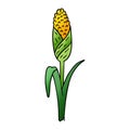 gradient cartoon doodle of fresh corn on the cob Royalty Free Stock Photo