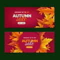gradient horizontal autumn banners set design illustration Royalty Free Stock Photo