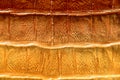 Gradient leather texture Royalty Free Stock Photo