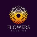 Gradient luxury flower petal logo design template. Modern line floral logo brand Royalty Free Stock Photo