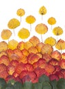 Autumn background of multicolored aspen fall leaves Royalty Free Stock Photo