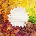 Gradient of multicolored fall maple leaves. Autumn frame Royalty Free Stock Photo