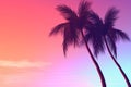 Gradient sunset backdrop with palm tree silhouettes, featuring a