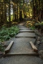 Gradual Stairs Climb up to Parking Area at Sol Duc Trailhead Royalty Free Stock Photo