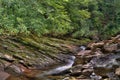 Gradual Waterfall along a mossy rockface in the forest of the Great Smokey Mountain National Park