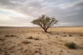 Gradually withering, expansive single tree grappling with harsh arid environment. Generative AI