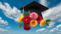 graduate hat with red flowers, blue sky background Royalty Free Stock Photo