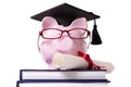 College graduate Piggy Bank student graduation diploma front view Royalty Free Stock Photo