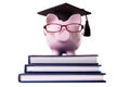 Graduate Piggy Bank student graduation diploma isolated Royalty Free Stock Photo