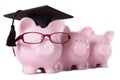 Graduate Piggy Bank student graduation college education concept Royalty Free Stock Photo