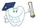 Graduate tooth holding a diploma