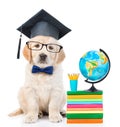 Graduated puppy sitting near books and globe. isolated on white background Royalty Free Stock Photo