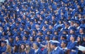 Graduating students in cap and gowns