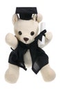 Graduation Bear