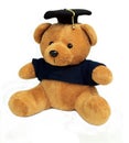 Graduation Bear Toy