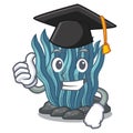 Graduation blue seaweed isolated in the character