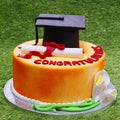 Graduation cake with green grass background isolated Royalty Free Stock Photo