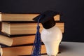 Graduation cap on light bulb with books close-up. Education idea Royalty Free Stock Photo