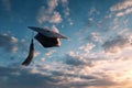 a graduation cap with a tassel thrown high into the sky Royalty Free Stock Photo