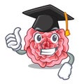 Graduation carnations stick to the cartoon stem