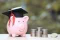 Graduation hat on blue piggy bank with stack of coins money on  nature green background, Saving money for education concept Royalty Free Stock Photo