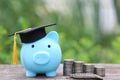 Graduation hat on blue piggy bank with stack of coins money on nature green background, Saving money for education concept Royalty Free Stock Photo