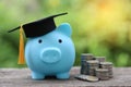 Graduation hat on blue piggy bank with stack of coins money on nature green background, Saving money for education concept Royalty Free Stock Photo