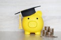 Graduation hat on blue piggy bank with stack of coins money on wooden background, Saving money for education concept Royalty Free Stock Photo