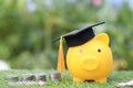 Graduation hat on golden piggy bank with stack of coins money on natural green background, Saving money for education concept Royalty Free Stock Photo