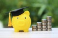 Graduation hat on golden piggy bank with stack of coins money on natural green background, Saving money for education concept Royalty Free Stock Photo