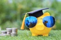 Graduation hat on golden piggy bank with sunglasses and stack of coins money on natural green background, Saving money for Royalty Free Stock Photo